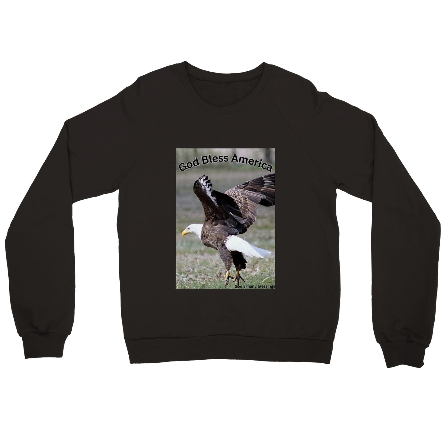 American Eagle Pride Premium Unisex Crewneck Sweatshirt